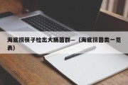海底捞筷子检出大肠菌群—（海底捞菌类一览表）